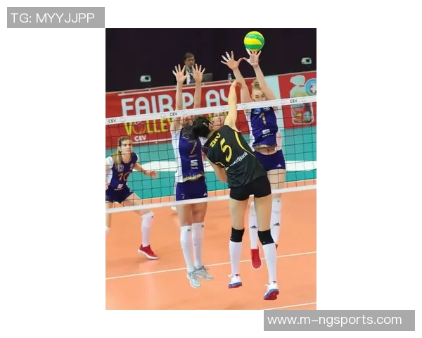 杭州排球队创新高排球状态排名引关注欧冠足球赛事热度持续攀升