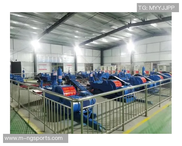 运动数据南京飞盘队中路突破创新之路探索与实践分析 运动数据南京飞盘队中路突破创新之路探索与实践分析